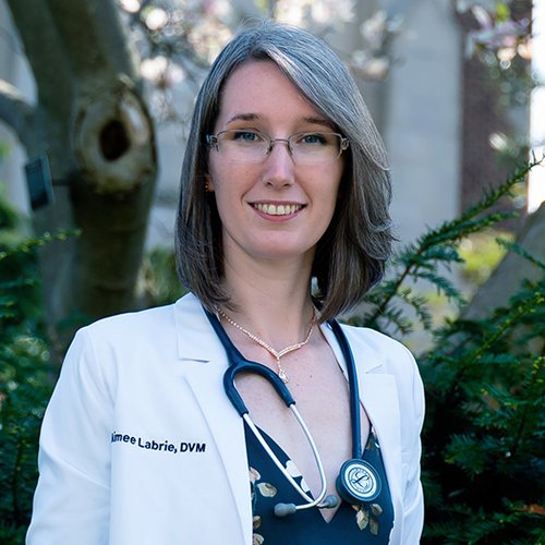 Dr. Aimee Labrie